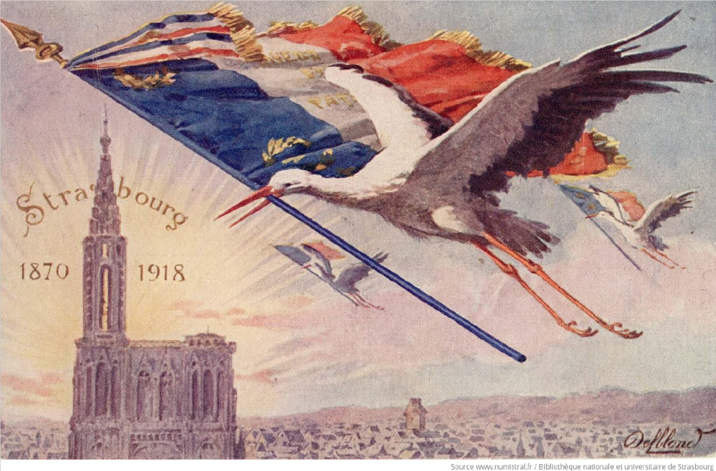 15/11 | Café de l’histoire « Sauvegarde des cigognes blanches : Enjeux naturalistes & géopolitiques entre la France & l’Allemagne ! »