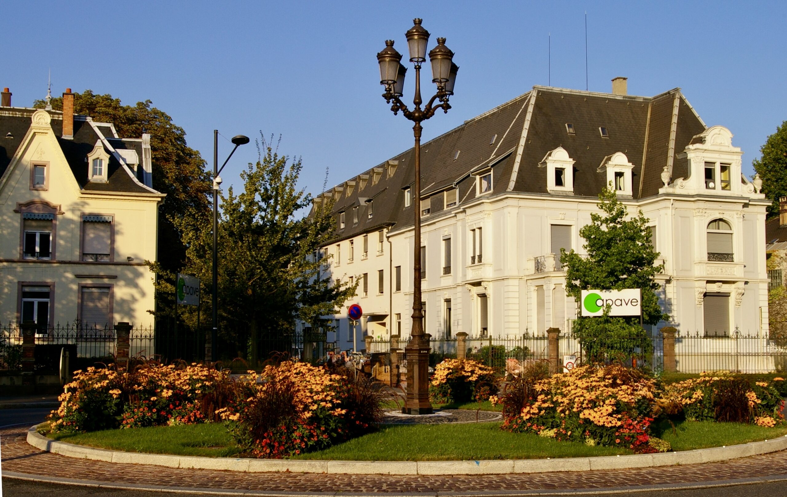 Dans les coulisses de l’APAVE : une immersion exclusive pour les membres de la SIM